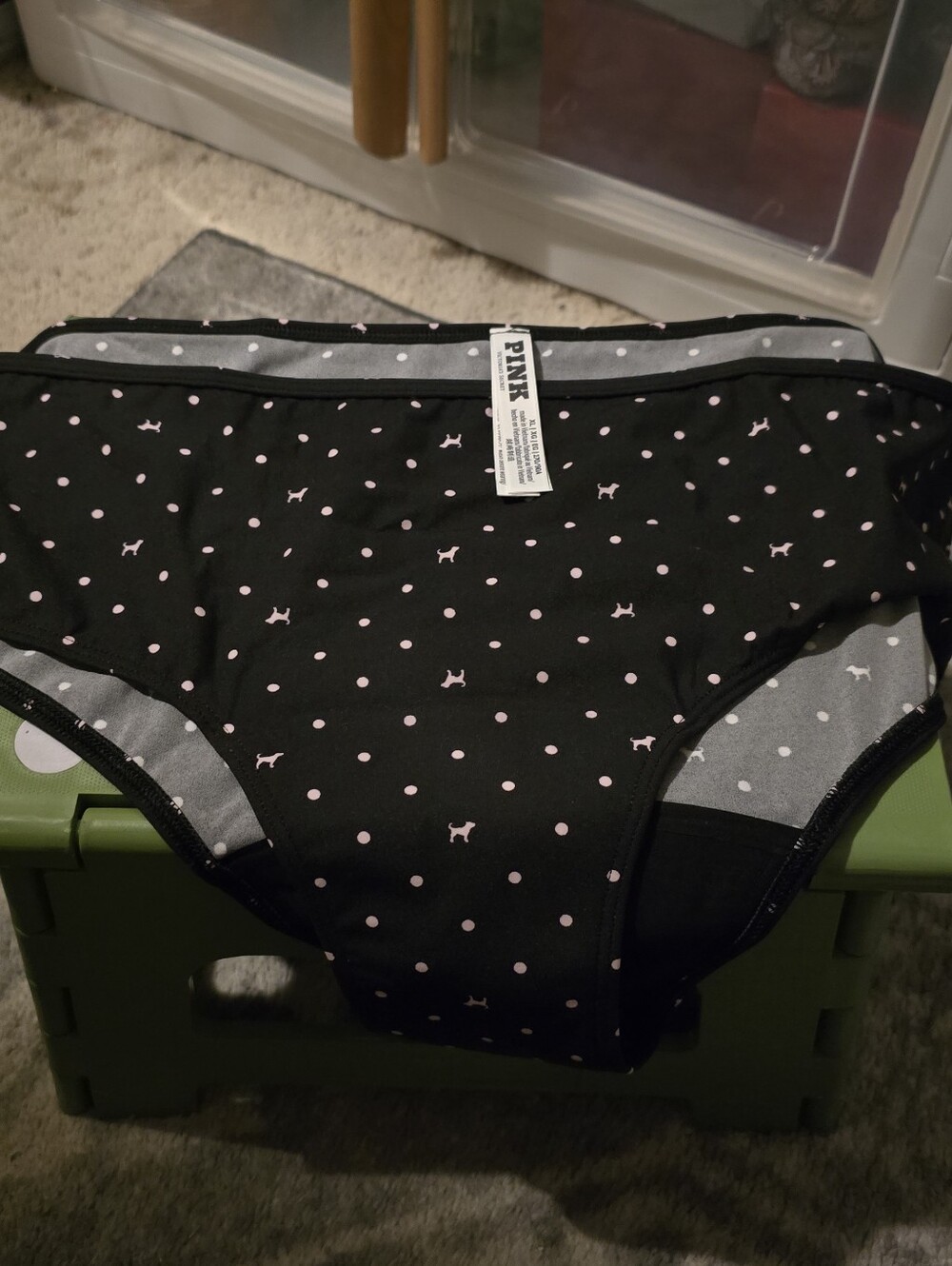 4 Victoria's Secret/Pink Hiphugger period panties -